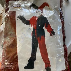 Evil Jester Costume